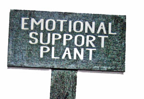 Blomskylt Emotional Support plant