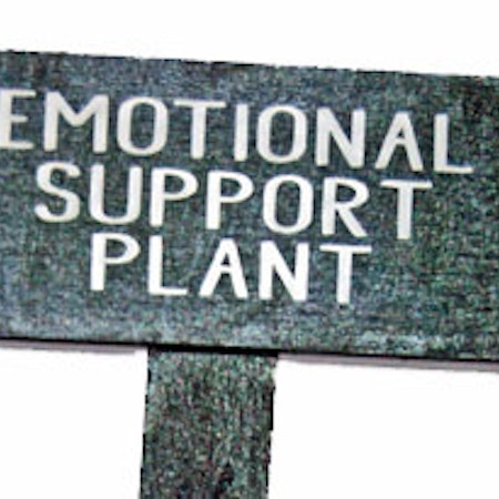 Blomskylt Emotional Support plant