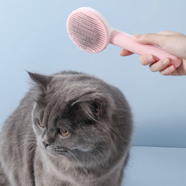 Självrengörande hårBorste - Perfekt för ditt husdjur