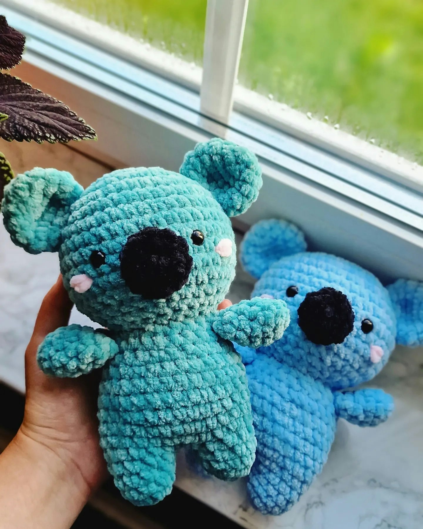 Koala