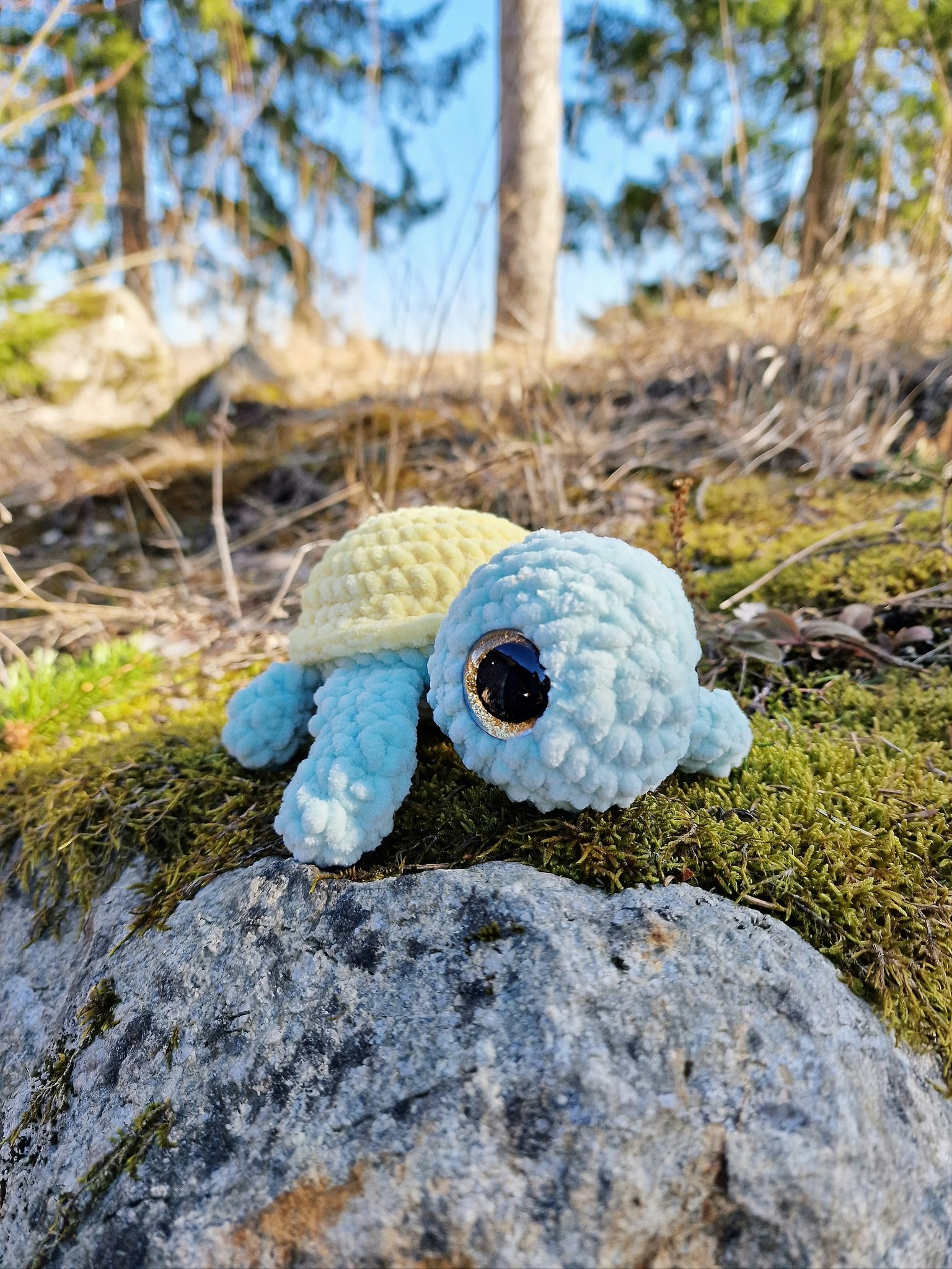 Sköldpadda