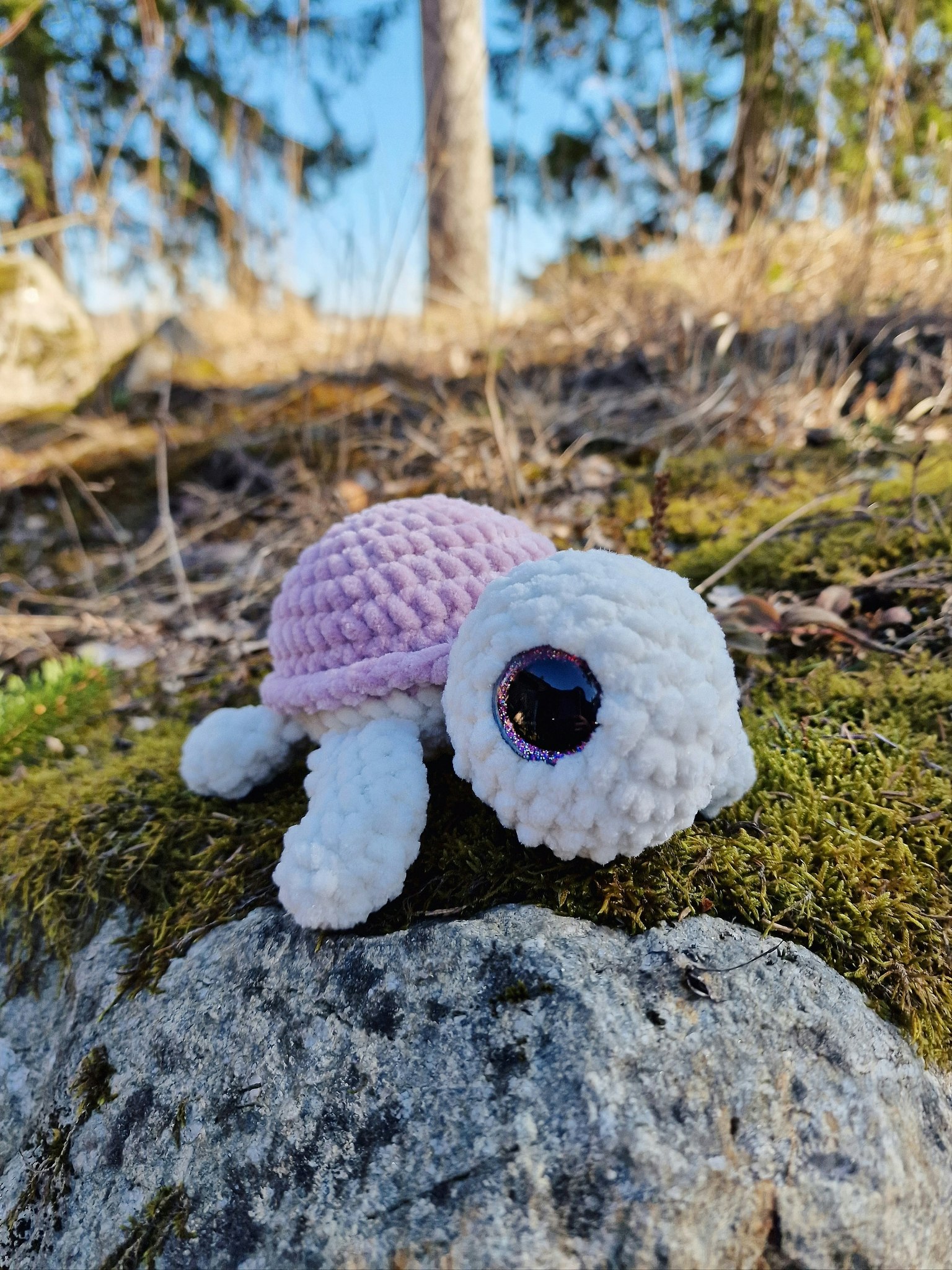 Sköldpadda