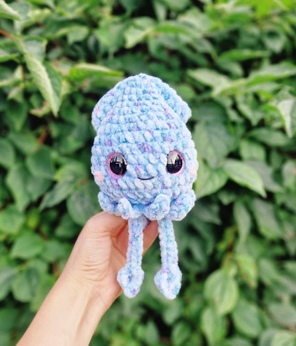 Squid