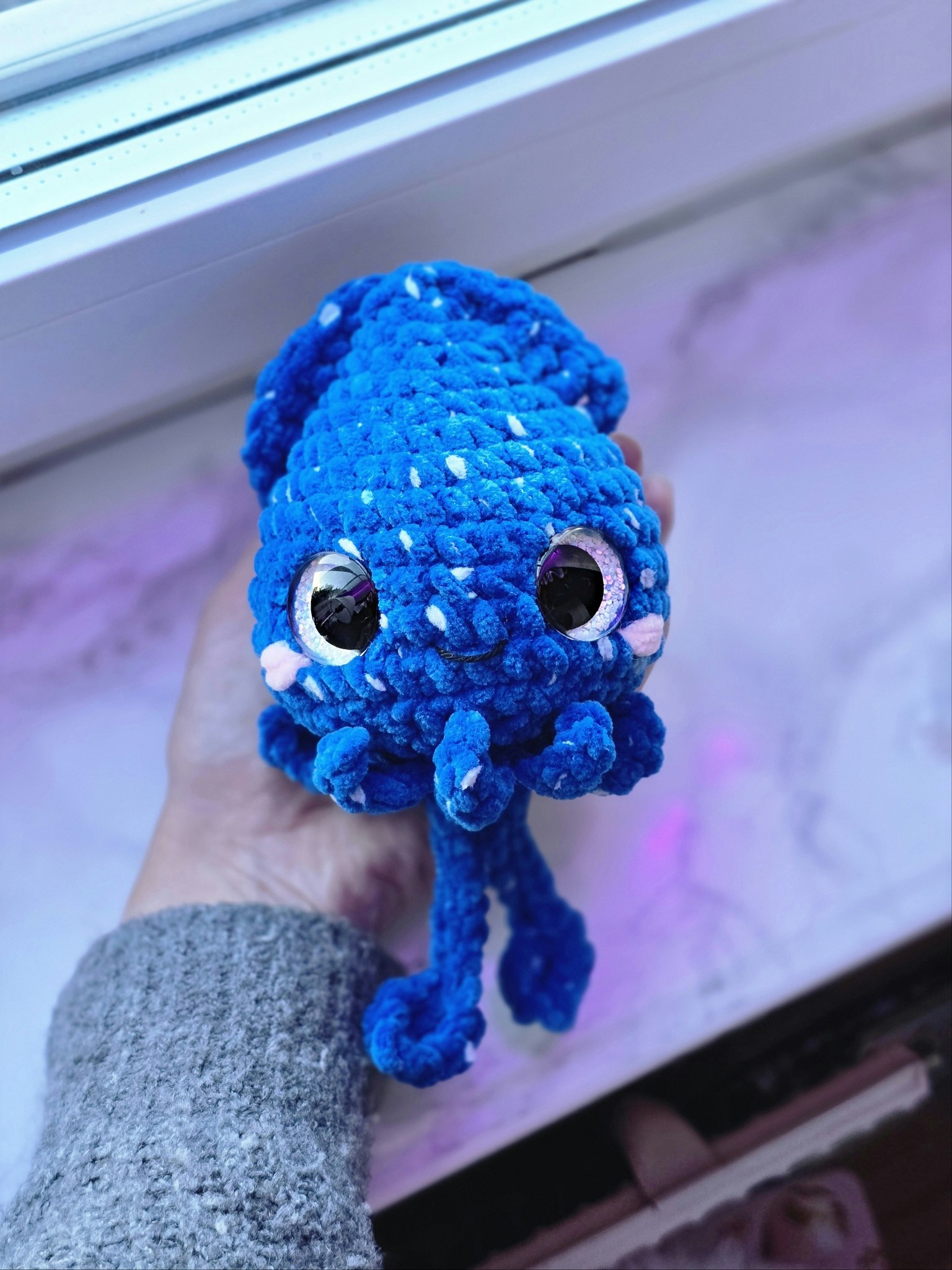 Squid