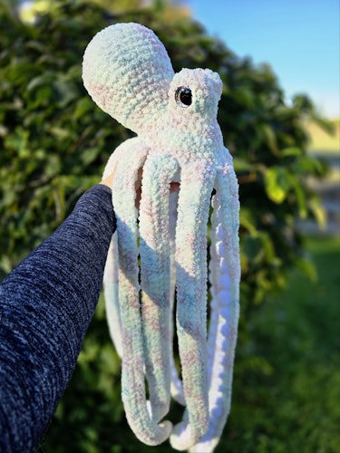Bläckfisk