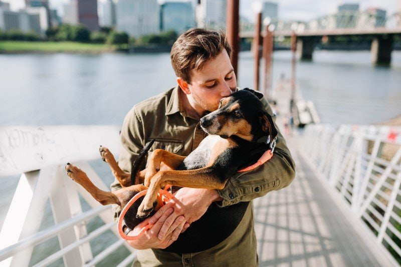 Visa kärlek till din hund