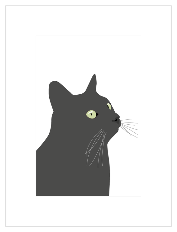 Poster Svarta Katten, europé
