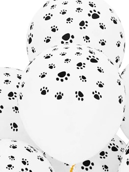 Ballong med Hundtassar