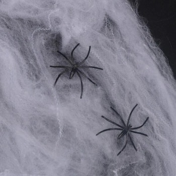 Spindelnät med Spindlar