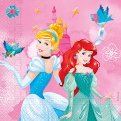 Prinsessor Servetter