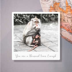 "Around The World" - Monkey Forest