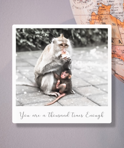 "Around The World" - Monkey Forest