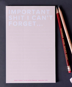 Kitty Meow Boutique- "Important $#!T I Can't Forget"  - Notepad