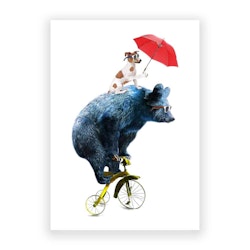Occasions Greeting Card - Biking Bear