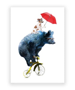 Occasions Greeting Card - Biking Bear