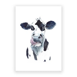 Occasions Greeting Card - Cool Cow