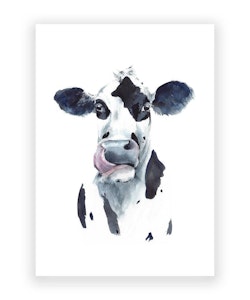 Occasions Greeting Card - Cool Cow