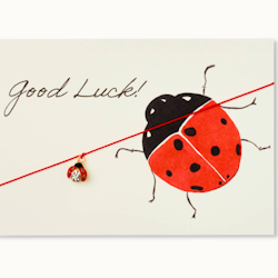 By Vivi: Bracelet Card - Good Luck Ladybug