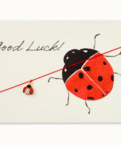 By Vivi: Bracelet Card - Good Luck Ladybug