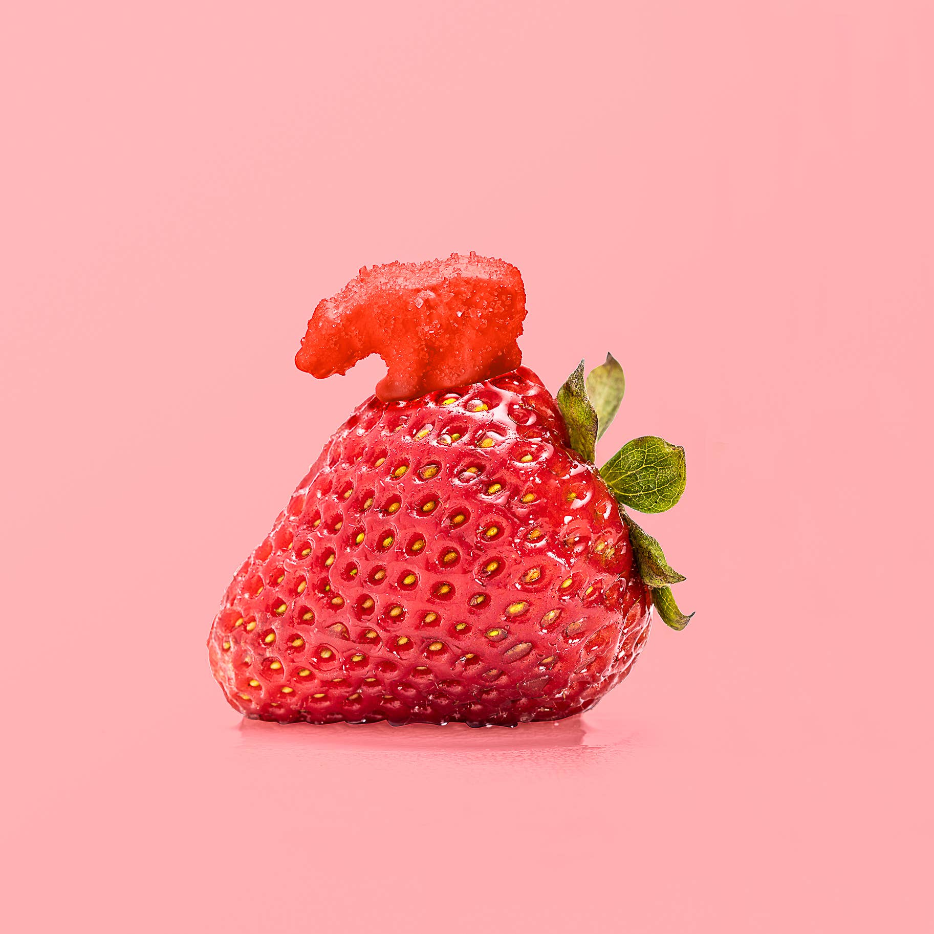 CALIFORNIA  - Gummy Bears - Beverly Hills Sour Strawberry