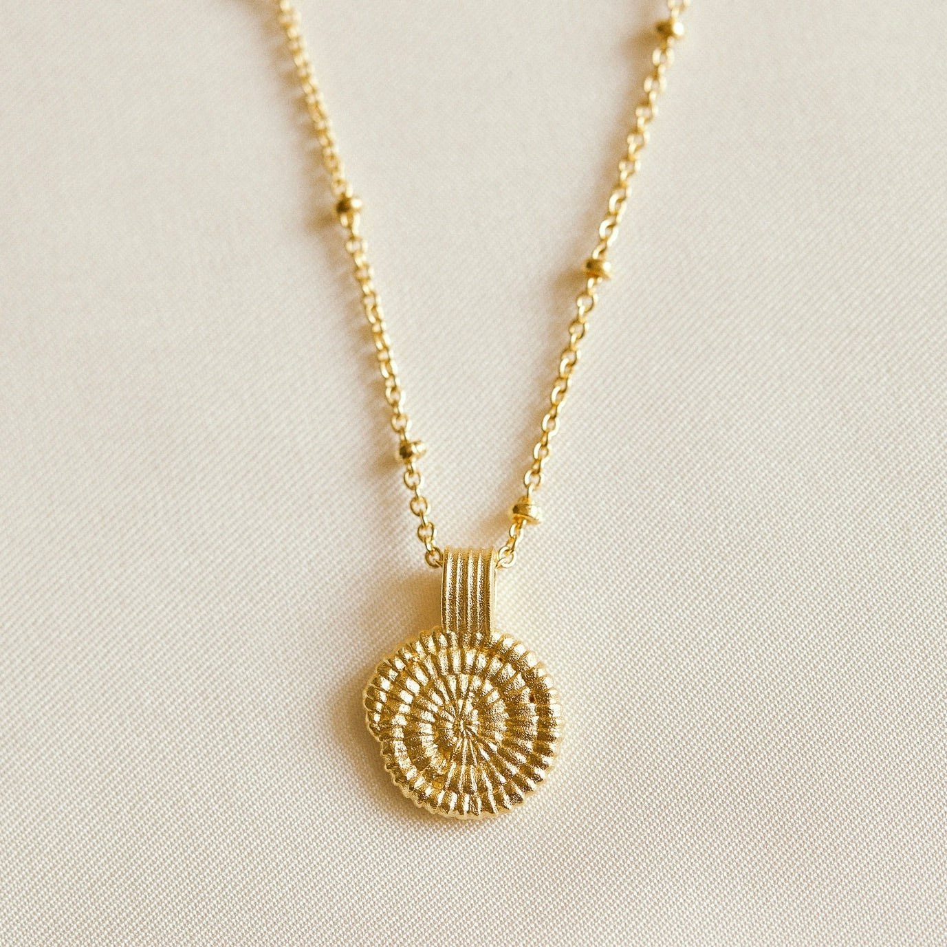 Agate - Amonita Necklace