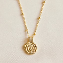 Agate - Amonita Necklace
