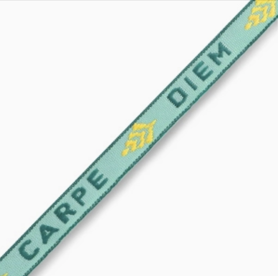 Ribbon Bracelet - Carpe Diem