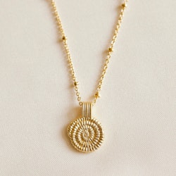 Agape - Amonita Necklace