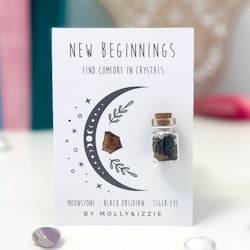 Molly & Izzie - Jar Full of Crystals - New Beginnings