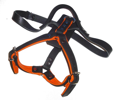 K9-Sport Lädersele, orange