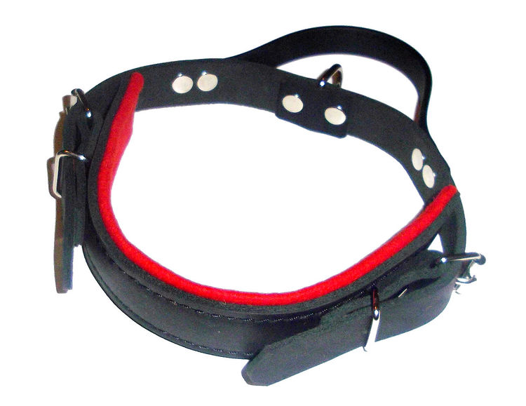 Halsband i läder med handtag, svart/röd