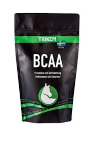 BCAA 500 g