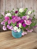 Petunia Allegra Mixed F1