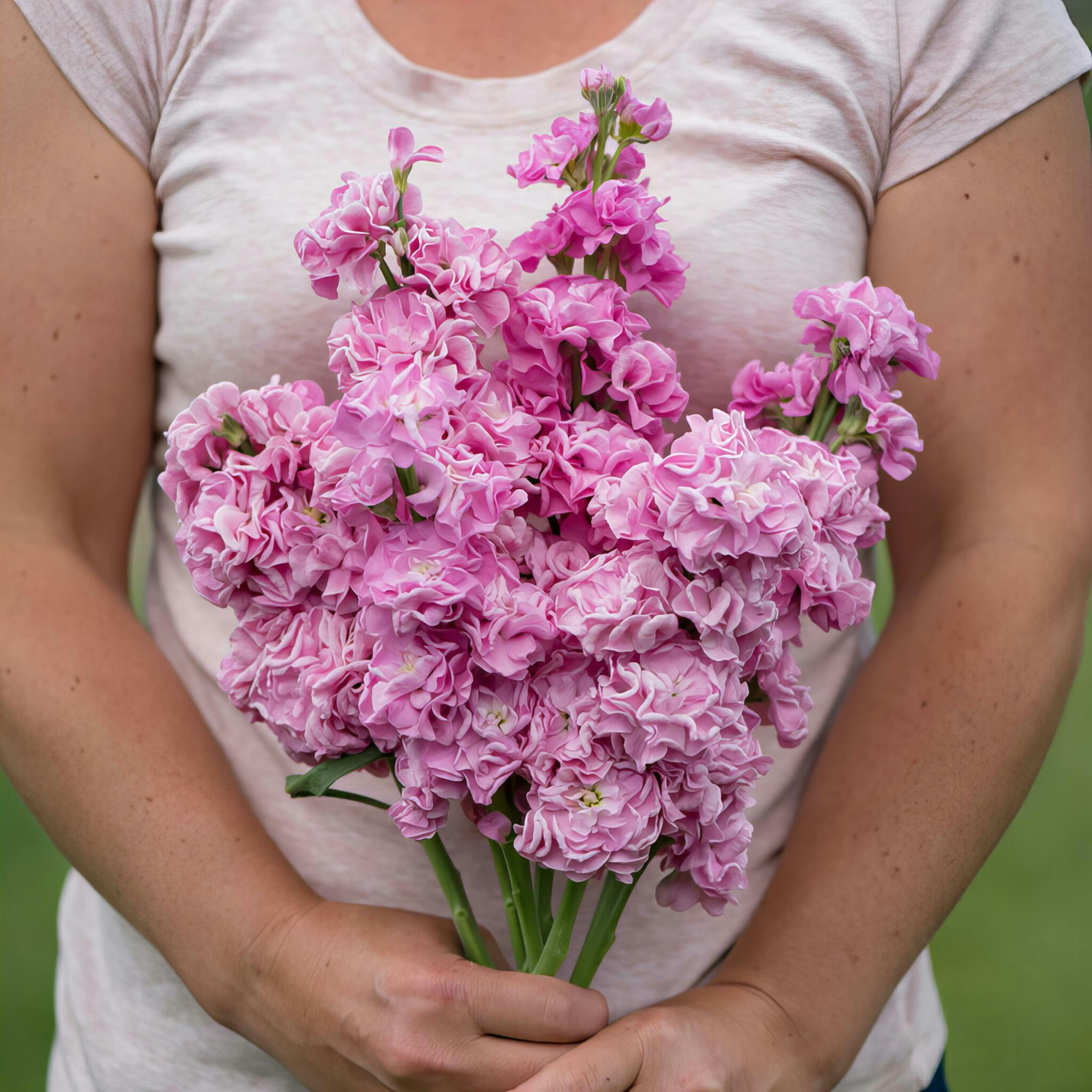 NYHET! Lövkoja Iron Pink