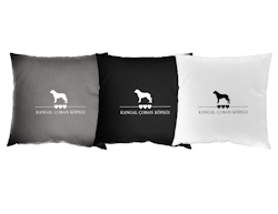 Kangal Çoban Köpeği - Kuddfodral hundras