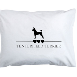 Tenterfield terrier - örngott
