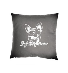 Kuddfodral - English toy terrier