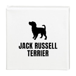 Tavla Jack Russell terrier