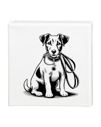 Tavla Jack Russell terrier