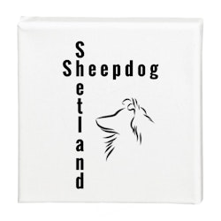 Tavla Shetland sheepdog ”sheltie”