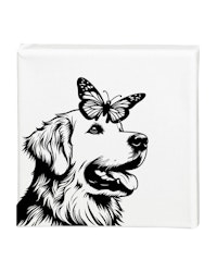 Tavla Golden retriever