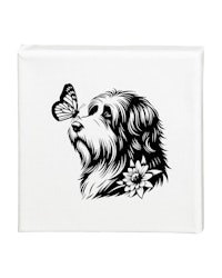 Tavla Bearded collie