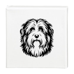 Tavla Bearded collie