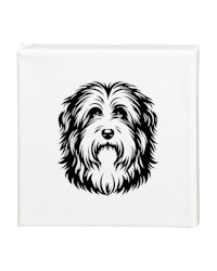 Tavla Bearded collie
