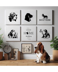 Tavla Basset Hound