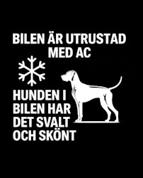 Bildekal - AC-utrustad bil - Ungersk Vizsla