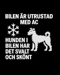 Bildekal - AC-utrustad bil - Pumi
