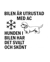 Bildekal - AC-utrustad bil - Dandie dinmont terrier