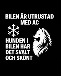 Bildekal - AC-utrustad bil - Samojedhund