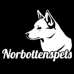 Bildekal Norrbottenspets